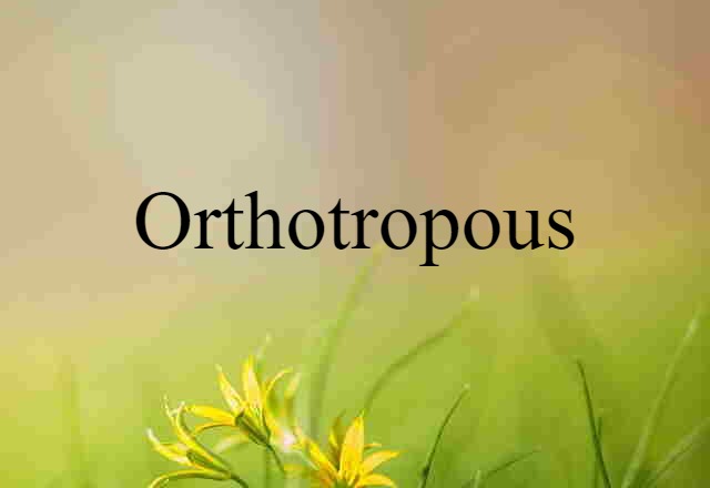 Orthotropous (noun) Definition, Meaning & Examples