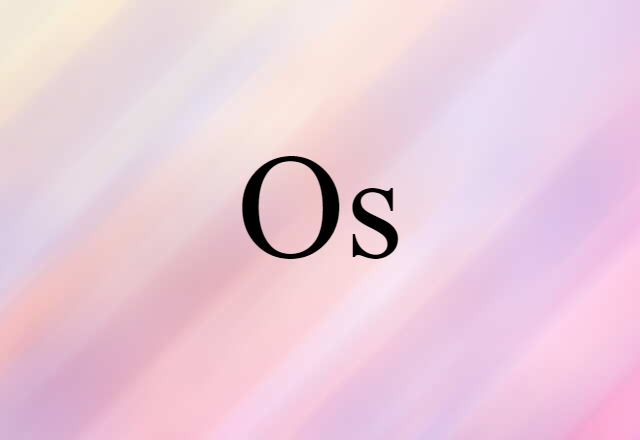 Os (noun) Definition, Meaning & Examples