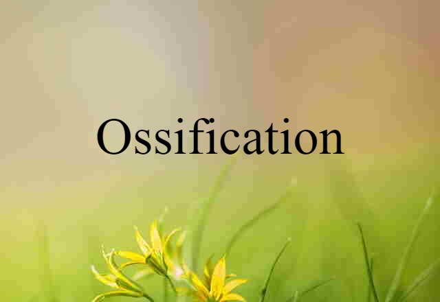 ossification