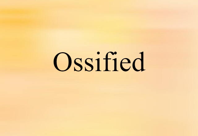 Ossified (noun) Definition, Meaning & Examples