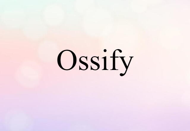 Ossify (noun) Definition, Meaning & Examples