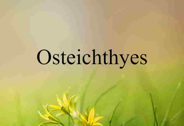 Osteichthyes