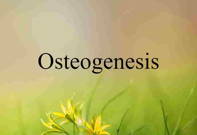 Osteogenesis (noun) Definition, Meaning & Examples