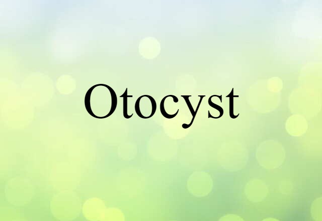 Otocyst (noun) Definition, Meaning & Examples