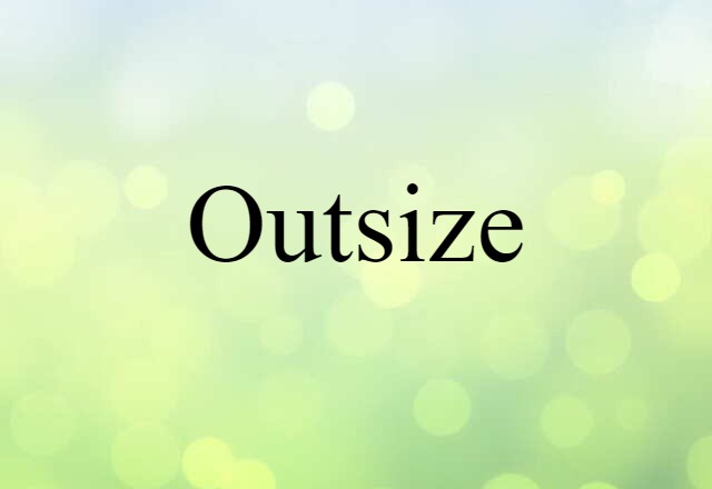 Outsize (noun) Definition, Meaning & Examples