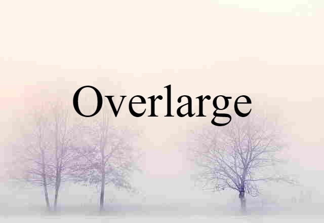 Overlarge (noun) Definition, Meaning & Examples