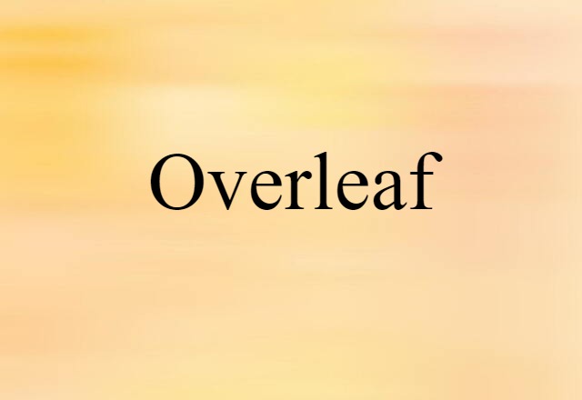 Overleaf (noun) Definition, Meaning & Examples