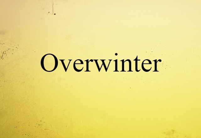 Overwinter (noun) Definition, Meaning & Examples