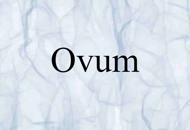 ovum