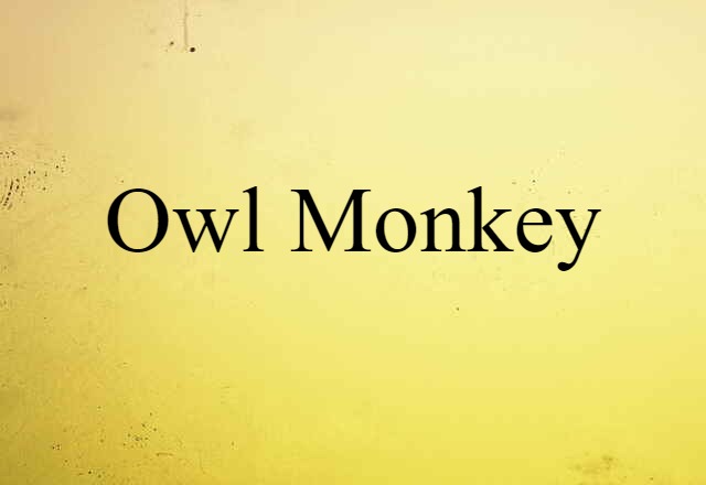 owl monkey