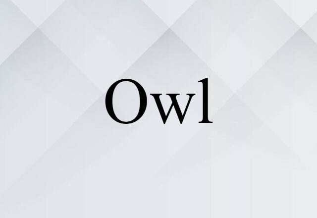 Owl (noun) Definition, Meaning & Examples