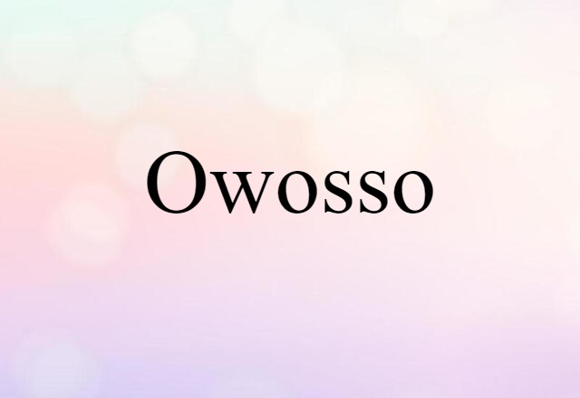 Owosso (noun) Definition, Meaning & Examples