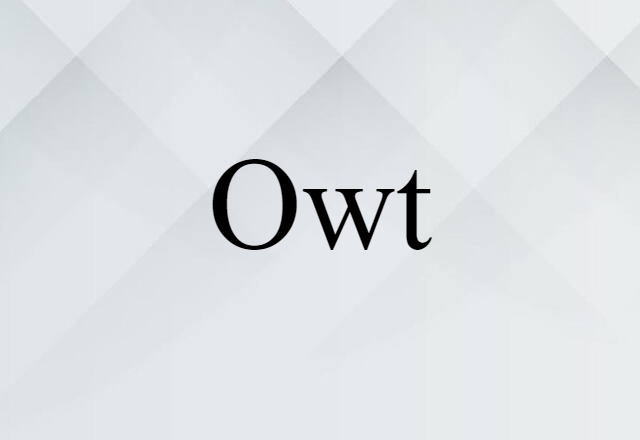 Owt (noun) Definition, Meaning & Examples