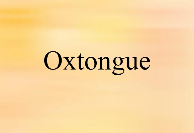 Oxtongue (noun) Definition, Meaning & Examples