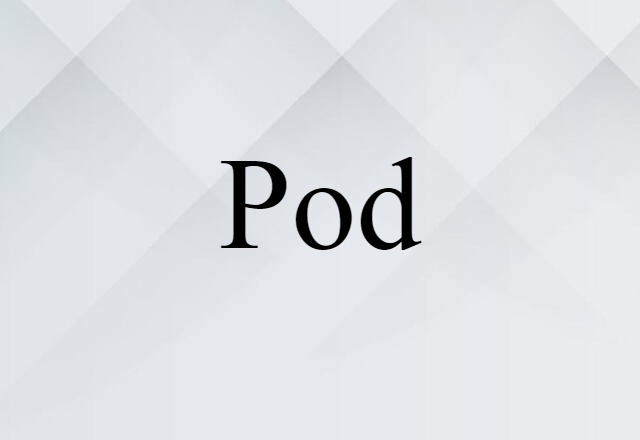 Pod (noun) Definition, Meaning & Examples