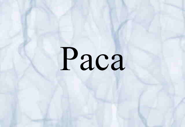 paca