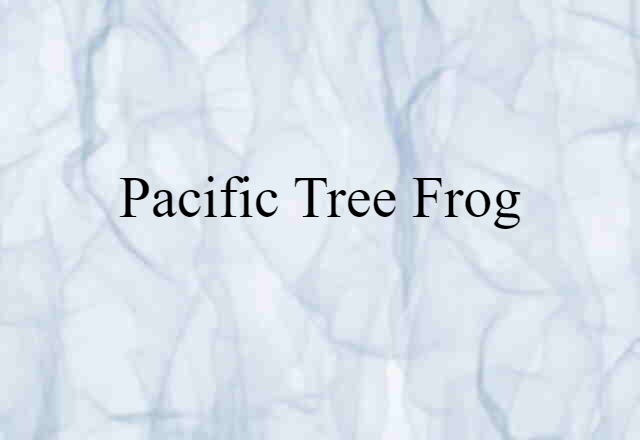 Pacific Tree Frog (noun) Definition, Meaning & Examples