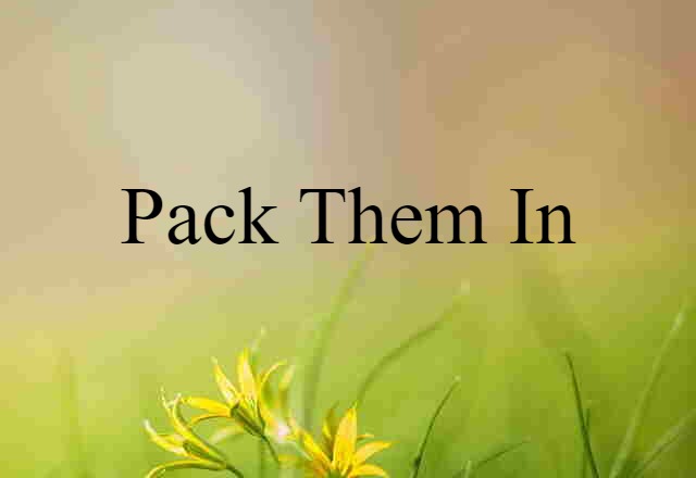 Pack Them In (noun) Definition, Meaning & Examples