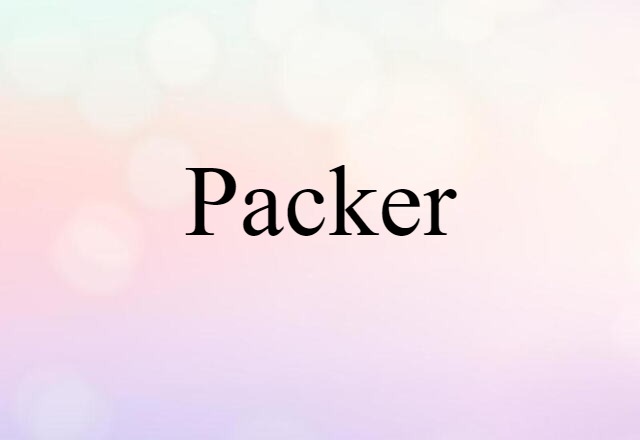 Packer (noun) Definition, Meaning & Examples