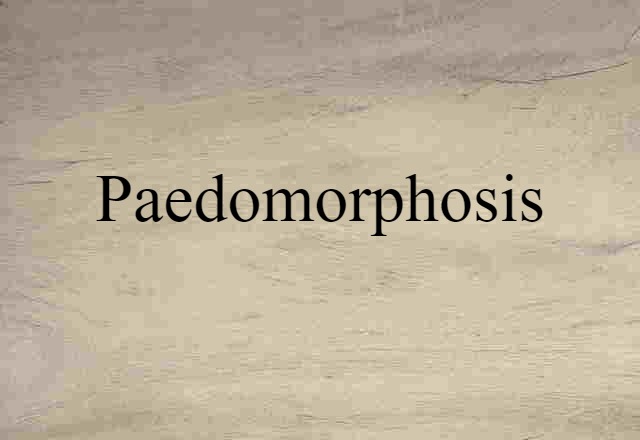 paedomorphosis