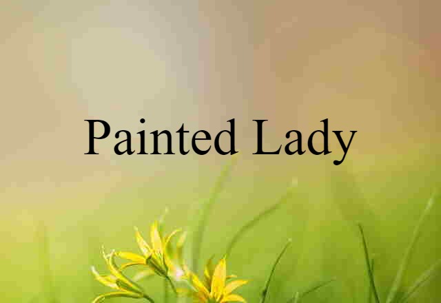 painted lady