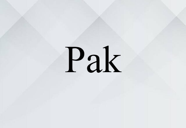 Pak (noun) Definition, Meaning & Examples