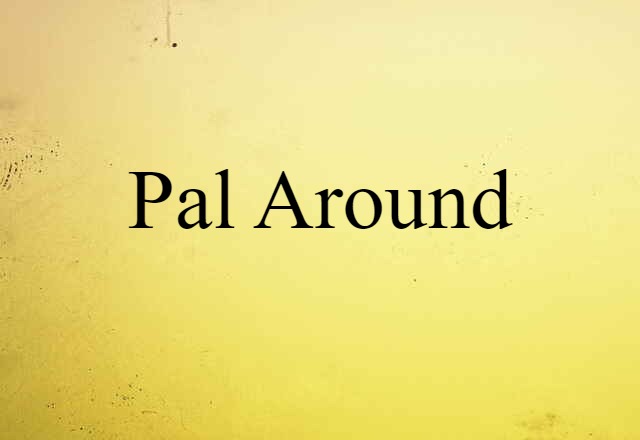 Pal Around (noun) Definition, Meaning & Examples