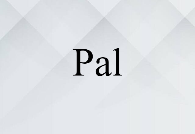 Pal (noun) Definition, Meaning & Examples