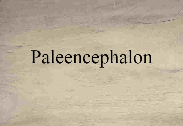 paleencephalon