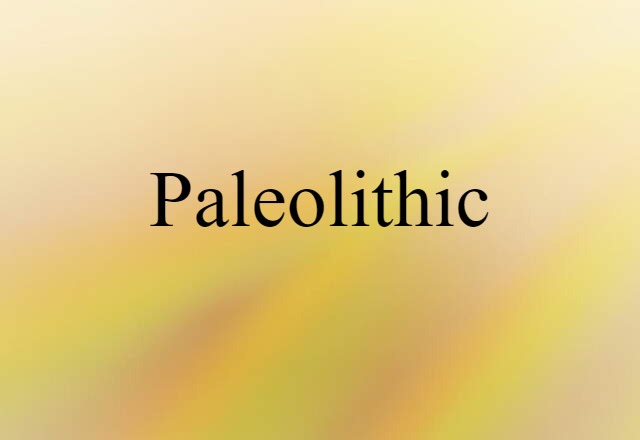 Paleolithic (noun) Definition, Meaning & Examples