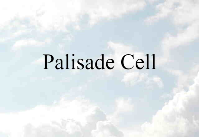 Palisade Cell (noun) Definition, Meaning & Examples