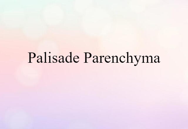 Palisade Parenchyma (noun) Definition, Meaning & Examples