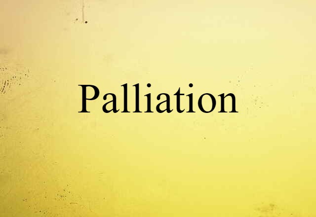 Palliation (noun) Definition, Meaning & Examples