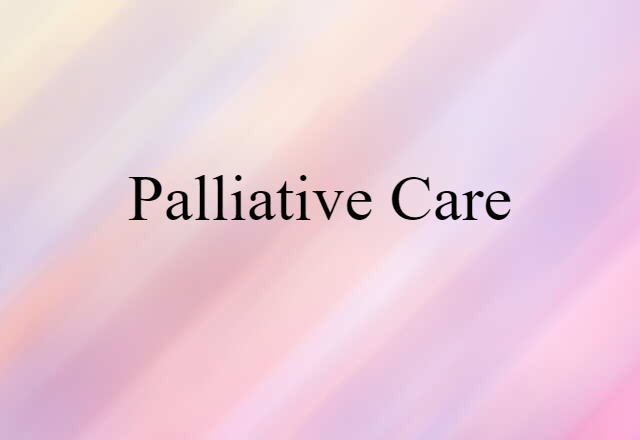 Palliative Care (noun) Definition, Meaning & Examples