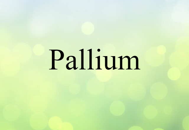 pallium