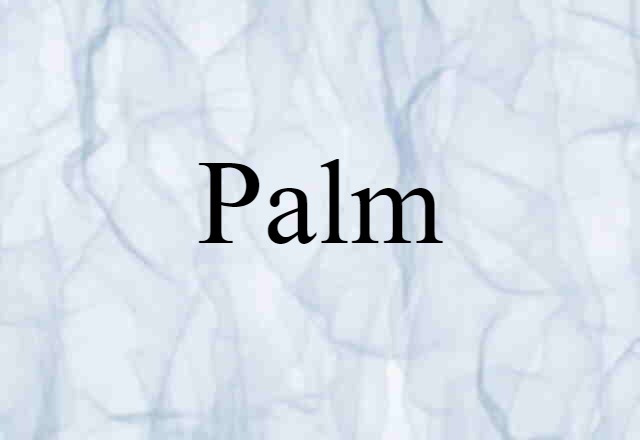 palm