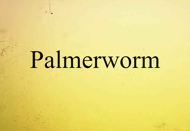 palmerworm