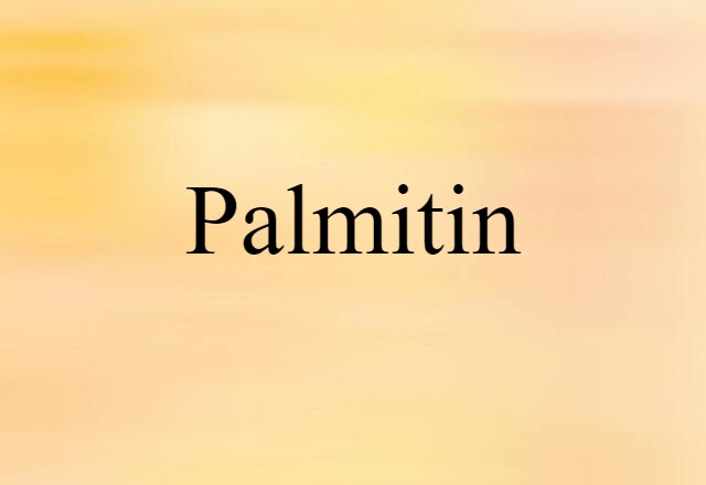 Palmitin (noun) Definition, Meaning & Examples