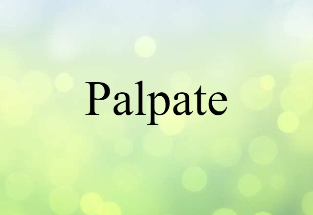 Palpate (noun) Definition, Meaning & Examples