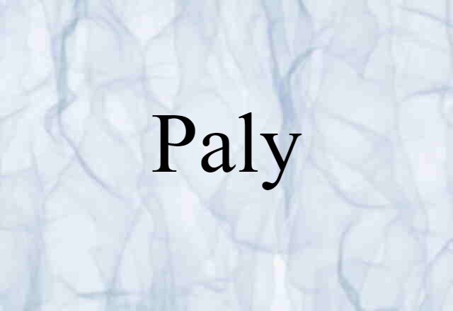 Paly (noun) Definition, Meaning & Examples