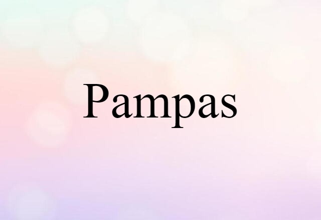 Pampas (noun) Definition, Meaning & Examples