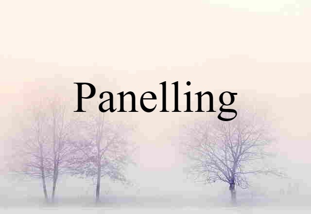 Panelling (noun) Definition, Meaning & Examples