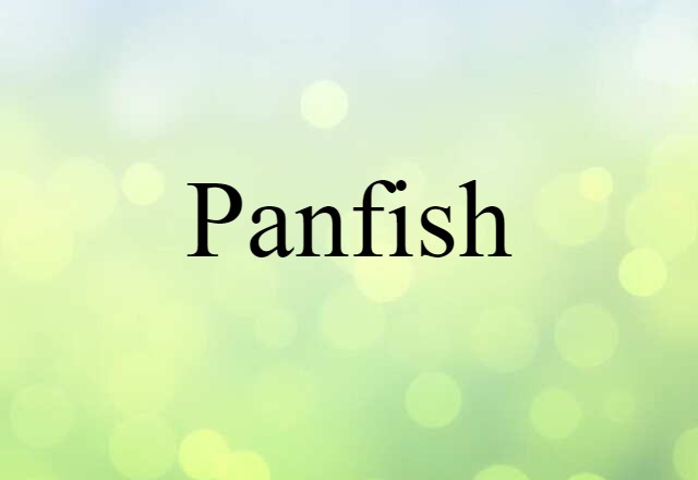 Panfish (noun) Definition, Meaning & Examples