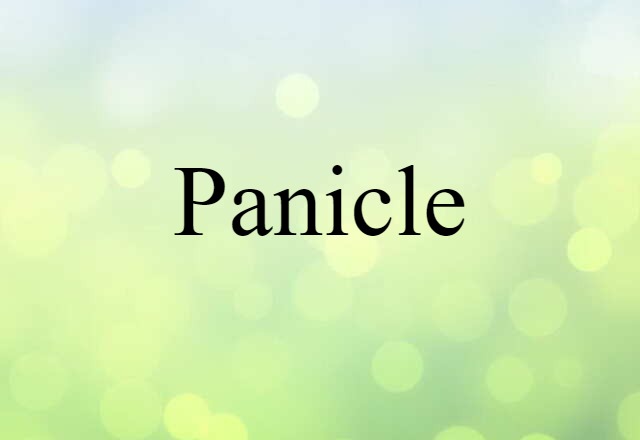 panicle