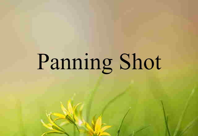 Panning Shot (noun) Definition, Meaning & Examples