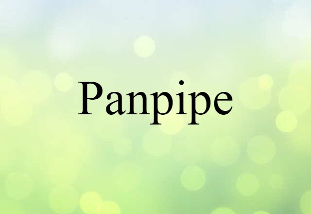 Panpipe (noun) Definition, Meaning & Examples