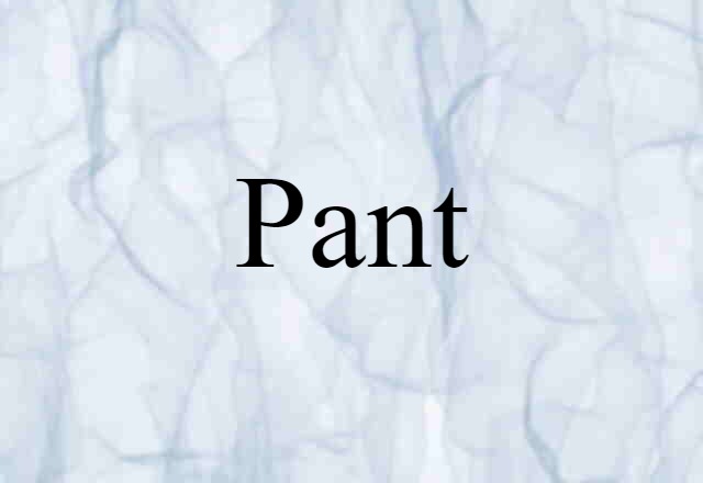 pant