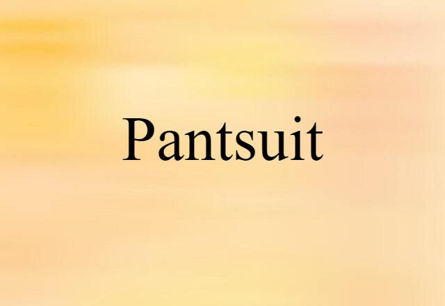 Pantsuit (noun) Definition, Meaning & Examples