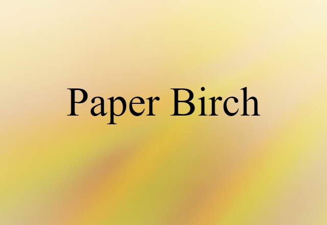 paper birch