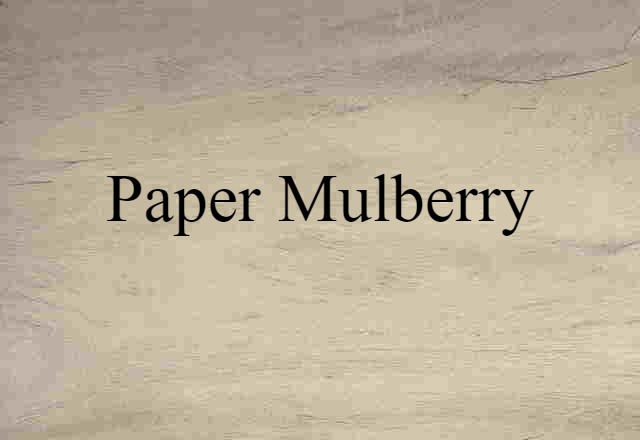 Paper Mulberry (noun) Definition, Meaning & Examples